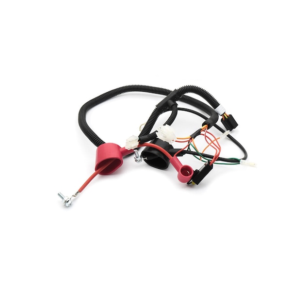 Harness-Main Wire